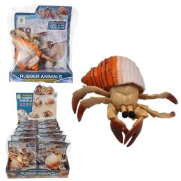 12 Bulk 5 inch Stretch Hermit Crab