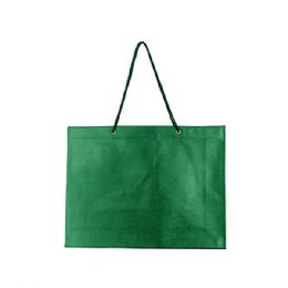 24 Bulk 100gram Non Woven Tote Bag GREEN