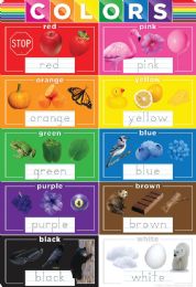 24 Bulk Colors 13" X 19" Smart Poly Chart