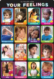 24 Bulk Emotions Photographs, 13" X 19", Smart Poly Chart