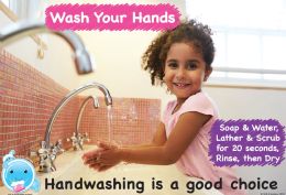 24 Bulk Smart Poly , Healthy Bubbles, Chart 13"x19", Handwashing Is A Good Choice