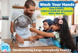 24 Bulk Smart Poly , Healthy Bubbles, Chart 13"x19", Handwashing Keeps Everybody Healthy