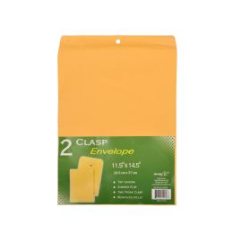 48 Bulk Clasp Envelope 2-Count 11.5x14.5inch
