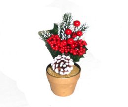 72 Bulk Xm Flower 9 Inch Pot