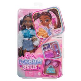 4 Bulk Mattel Barbie Dream Besties Brooklyn Doll & Accessories