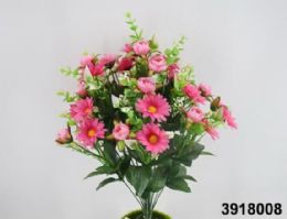 72 Bulk Af Daisy Bush 18 Heads 19