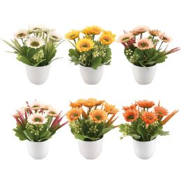 12 Bulk Potted Flower 10*22cm