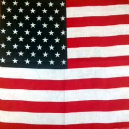 24 Bulk Usa Flag Bandana