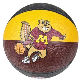 25 Bulk 9.5inch Minnesota Reg Basketball