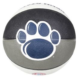 25 Bulk 9.5inch Penn State Regulation Basketball