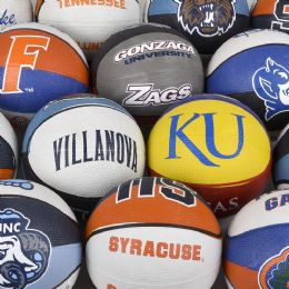 50 Bulk 7inch Mini College Basketballs 50 Pcs