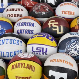 25 Bulk 25 Wholesale 9" Reg. College Basketballs 25 Pcs/case - WSD