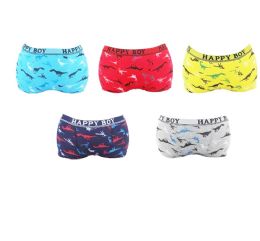 30 Bulk Boys Assorted Underwear