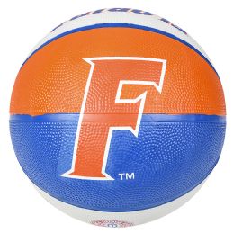 25 Bulk 9.5inch Florida Gators Regulation Basketball