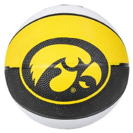 25 Bulk 9.5inch Iowa Reg Basketball