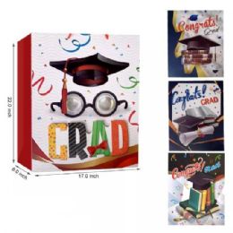 48 Bulk 22x17 Graduation Gift Bag