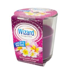 48 Bulk Wizard 3oz Hawaiian Retreat Candle