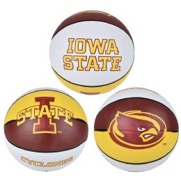 25 Bulk 9.5-inch Iowa State Reg Basketball