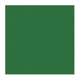 12 Bulk Tissue Paper Sheets - Green