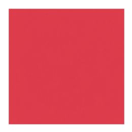 12 Bulk Tissue Paper Sheets - Red