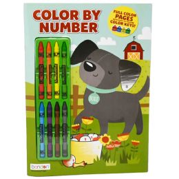 48 Bulk Color By Numbers Coloring Book With Crayons