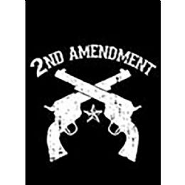 24 Bulk 2nd Amendment T-Shirt Transfers