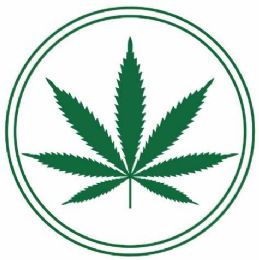 48 Bulk Car & Refrigerator Magnet Cannabis Leaf Marijuana