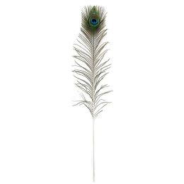 72 Bulk 35-39-inch Peacock Feather