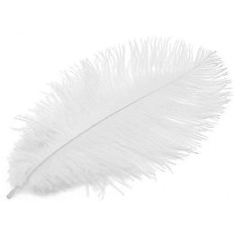 12 Bulk Ostrich Feather White 22-24-inch