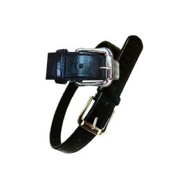 24 Bulk Men's Belt Astd Size