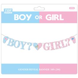 24 Bulk Gender Reveal Banner 13*10cm