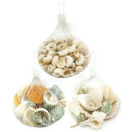 48 Bulk Sea Shell Astd 128g /48s