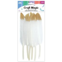 24 Bulk Feather White W/gold Tip 12cM-15cm