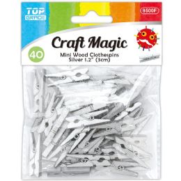 480 Bulk 3cm 40pc clothespins Silver