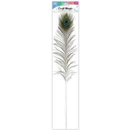 24 Bulk Peacock Feather 1pc 80-90cm