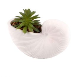 12 Bulk Seashell Planter With Faux Succulent Decorative Coastal Accent
