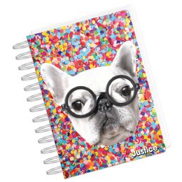12 Bulk Justice Journal