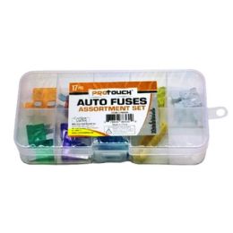 48 Bulk 17pc Auto Fuses With Tool Box
