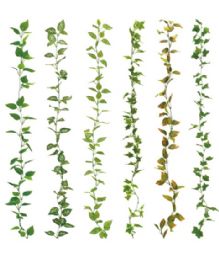 288 Bulk Simulation Plants 2.3m