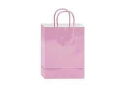 72 Bulk Glossy Gift Bag Nm 8.8x5.5x3.5-inch Pink