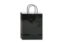 144 Bulk Glossy Gift Bag 10x8x4-inch Em Black