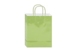 144 Bulk Glossy Gift Bag 10x8x4-inch Em Lime
