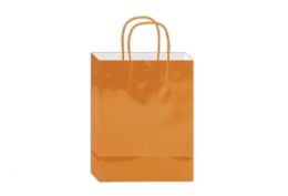 144 Bulk Glossy Gift Bag 10x8x4-inch Em Orange