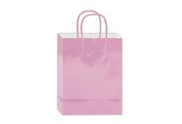 144 Bulk Glossy Gift Bag 10x8x4-inch Em Pink