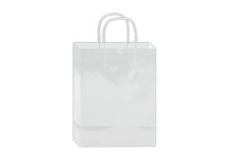 144 Bulk Glossy Gift Bag 10x8x4-inch Em White