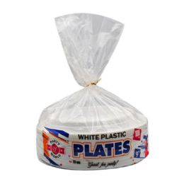12 Bulk 9" ROUND WHITE PLATE IN BAG 100-Piece