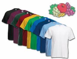 72 Bulk Fruit Of The Loom Mens Assorted T Shirts, Assorted Colors Size Medium