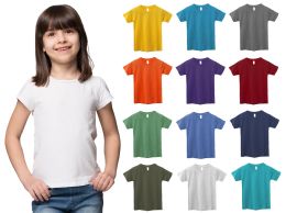 12 Bulk Girls Cotton Assorted Colors T-Shirts Size Small