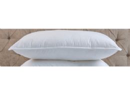 12 Bulk Platinum Plus Pillow