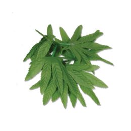 12 Bulk Tropical Fern Leaf Wristlet/anklet